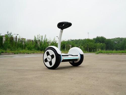 买菜遛狗车,买菜智能平衡车