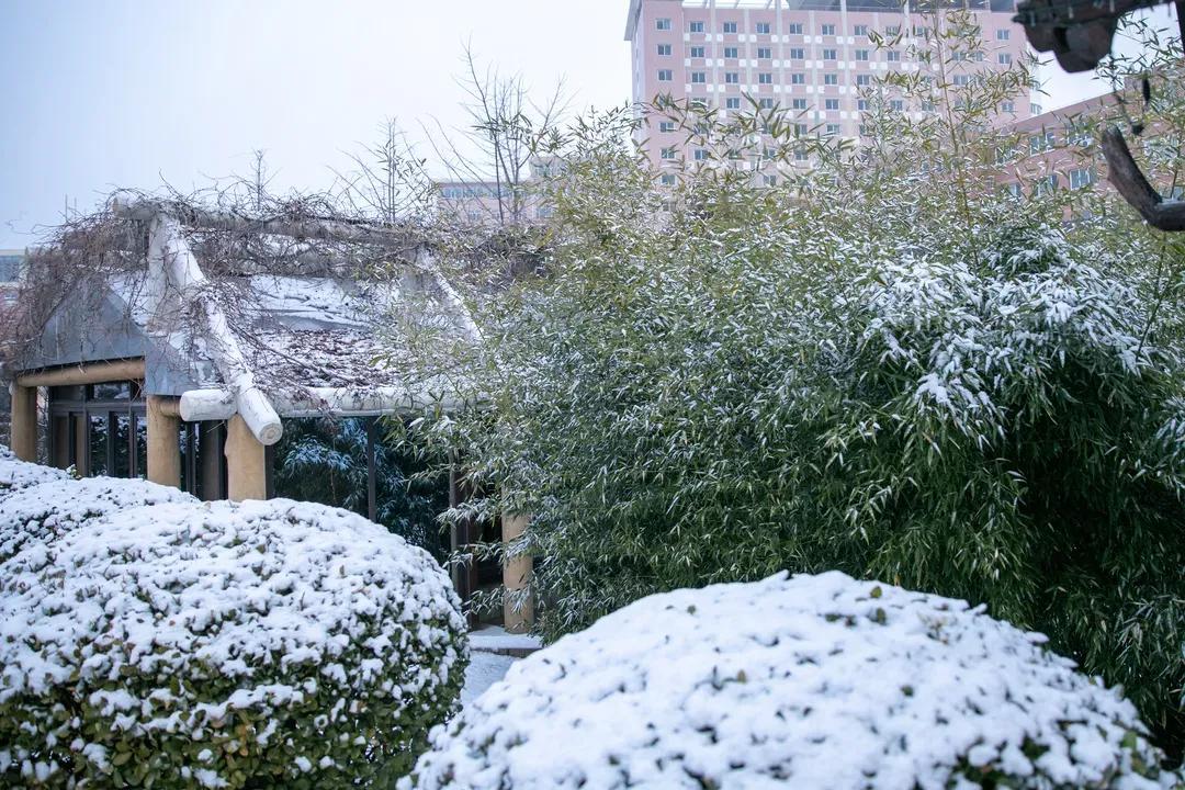 民办学校大连艺术学院全国排名,大连艺术学院辽宁排名