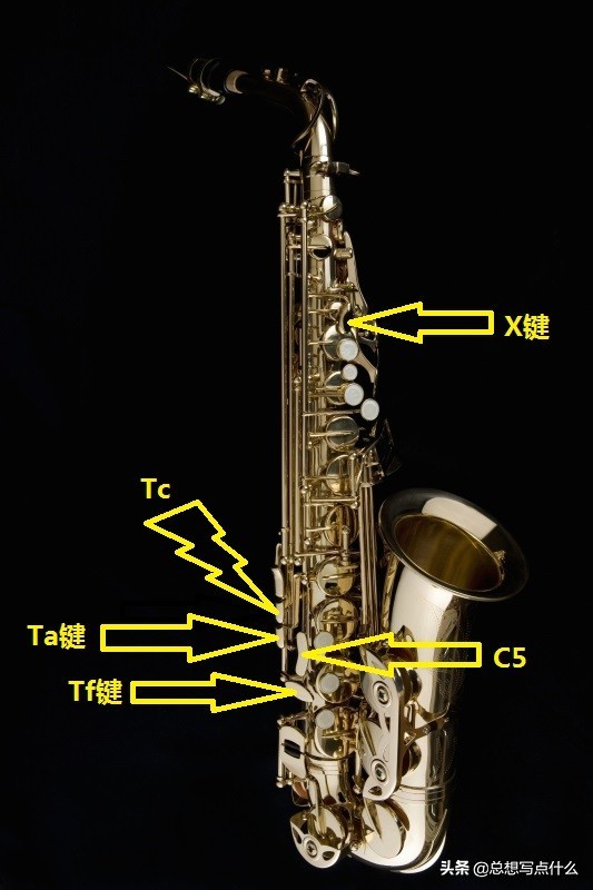 萨克斯各种按键介绍,萨克斯的构成方法