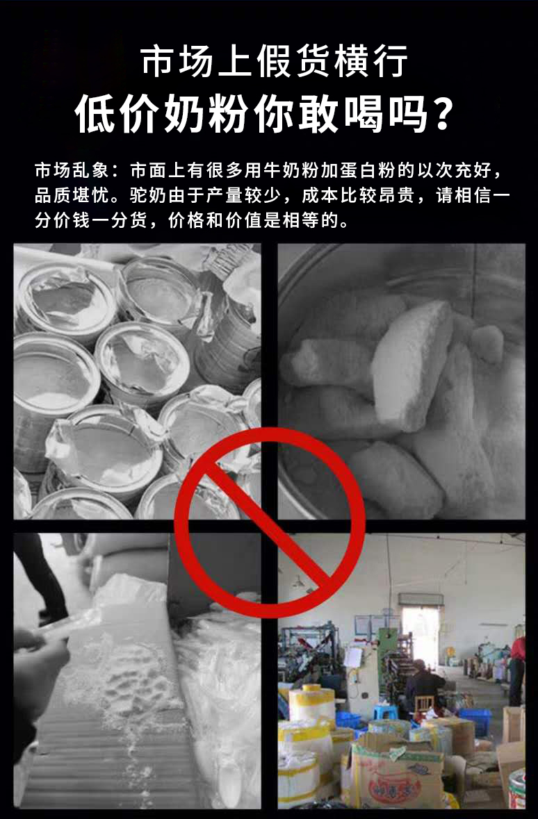 神奇的驼奶粉,神奇的驼奶央视报道