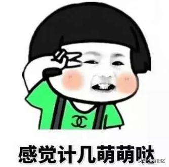 今年的双十一有什么好货,双十一值得种草的东西