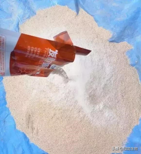 夏天养鸡用发酵床是不是很热,发酵床养鸡专用发酵菌怎么做