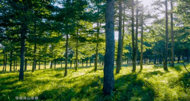 蔚县麻田岭小天山十八堂,小天山业态招商