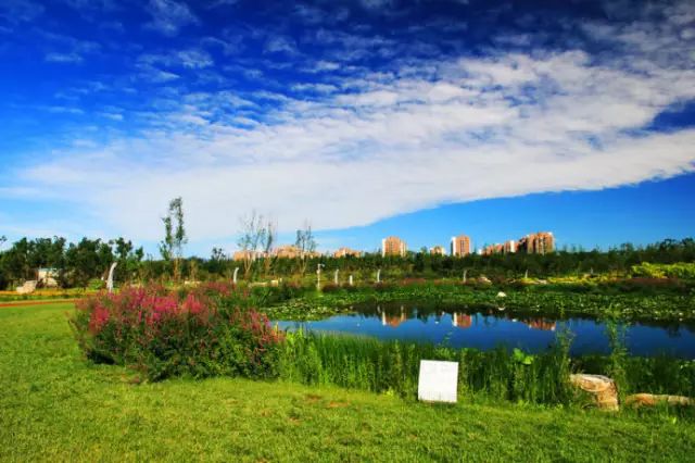 北京房山团建踏青地点推荐,北京房山春季旅游最佳去处