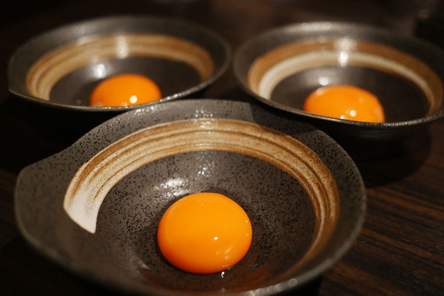 一只鸡获得了金蛋,一只鸡的最高荣誉