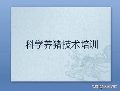 专治猪链球菌病专用药,猪链球菌病2型是什么