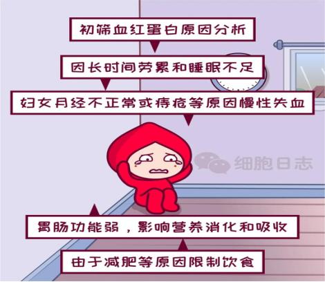 献血查出血红蛋白低是什么原因,平均血红蛋白浓度偏低跟献血有关