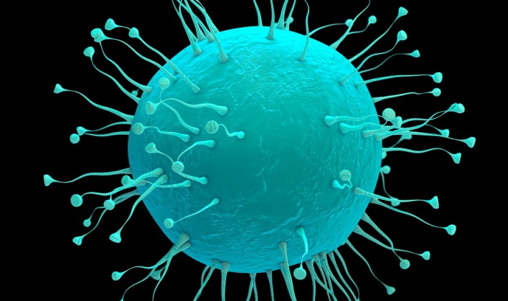 关于蝙蝠病毒的科普短文,蝙蝠与病毒的知识