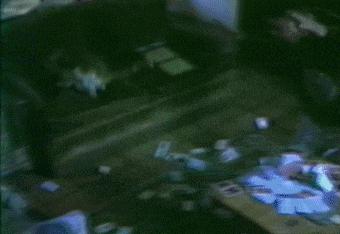 这只鹦鹉一直以为他是一只猴，所以每天都在重复做这个动作