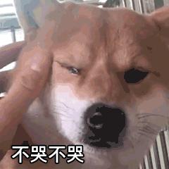 河南卫视中秋奇妙游星空,河南卫视中秋奇妙游直播