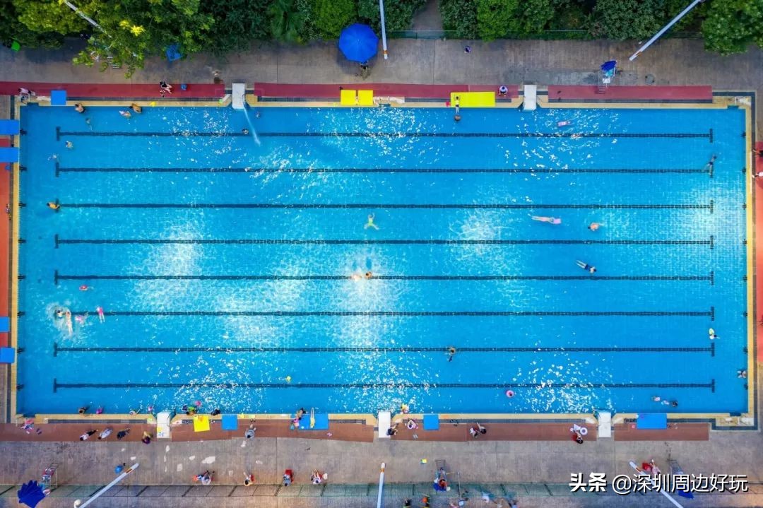 深圳人注意啦！近期这种病游泳后高发、传染性极强