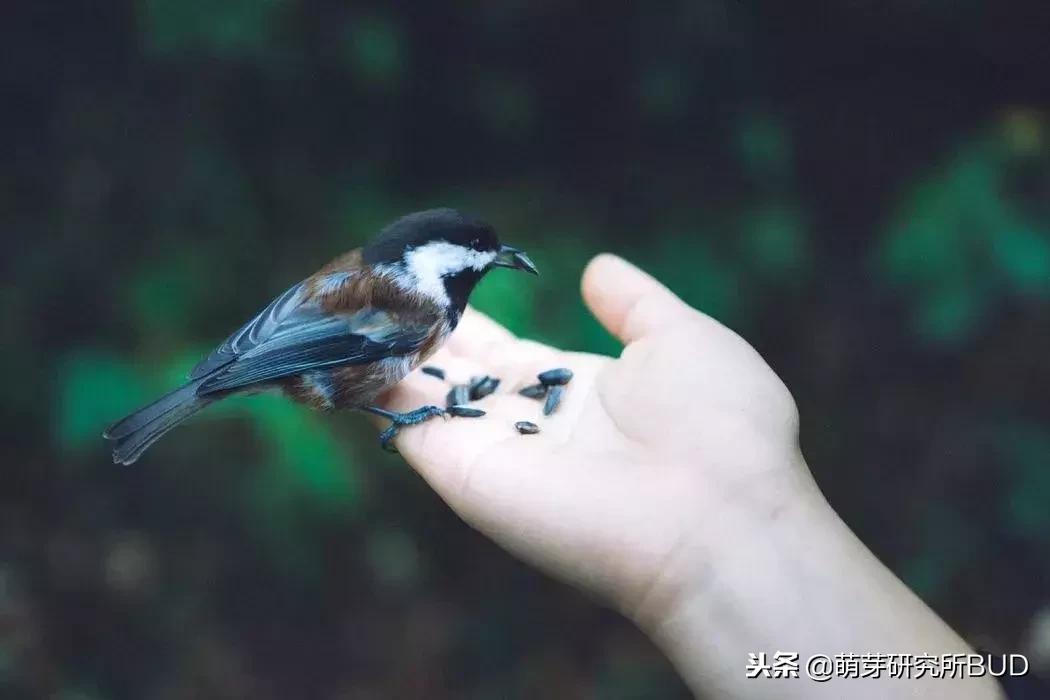 用身边的东西创艺术,用身边常见的物品创造出令人惊喜