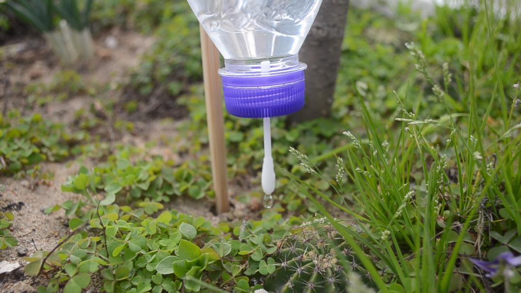 生活小妙招做自动浇水神器,制作自动浇水神器可以浇一个星期