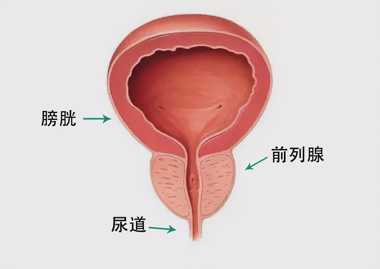 它，增速最快的男性恶性肿瘤！50岁后记得查一次