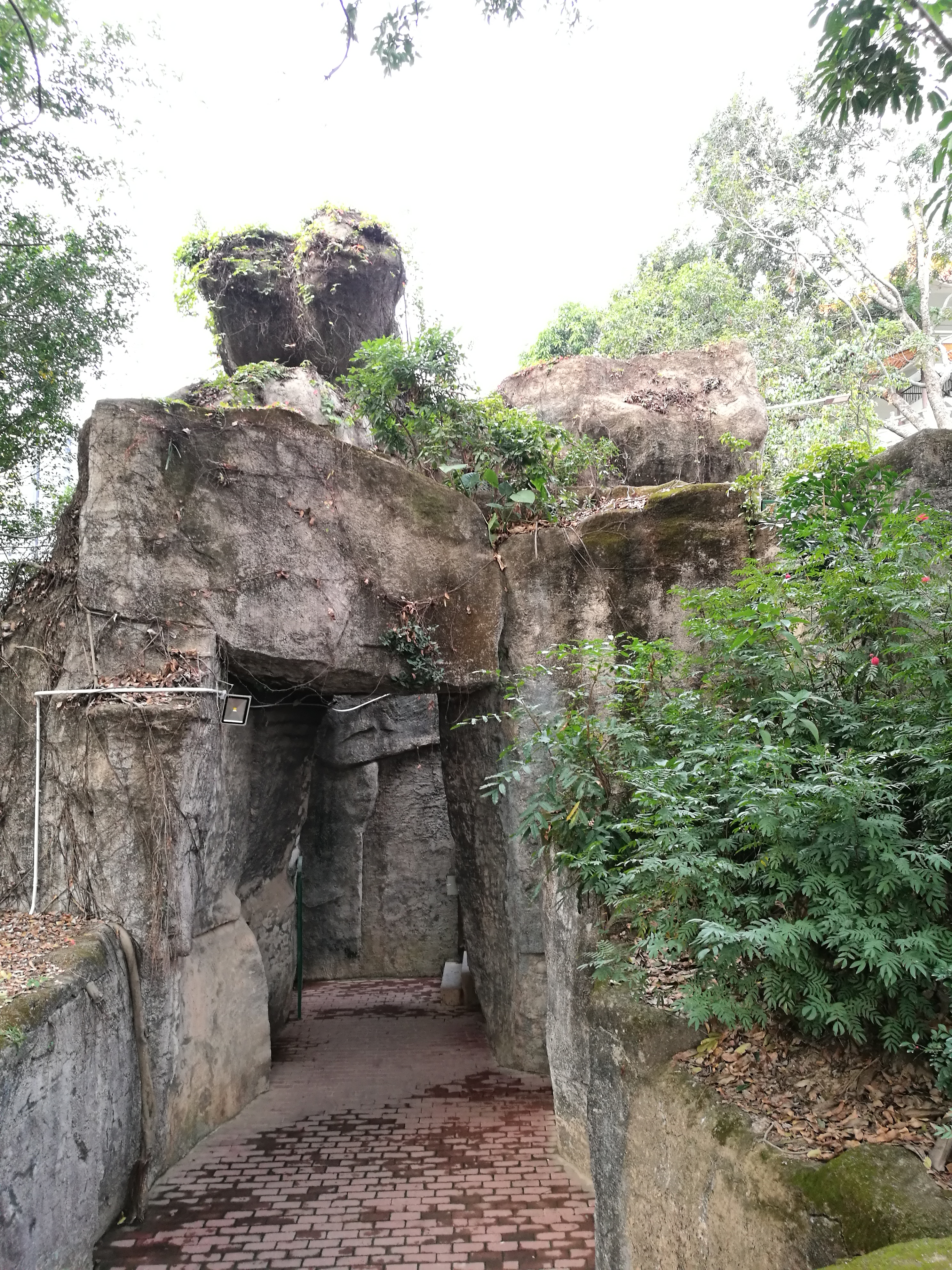 平安夜偶遇第一场雪,平安夜偶遇生日