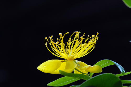 脾气大的人其实非常实在可靠,脾气大的人有哪些症状