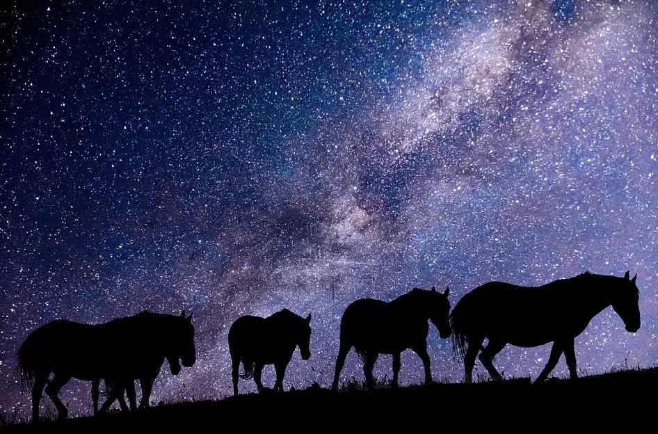 golang发送https请求,golang实现http代理