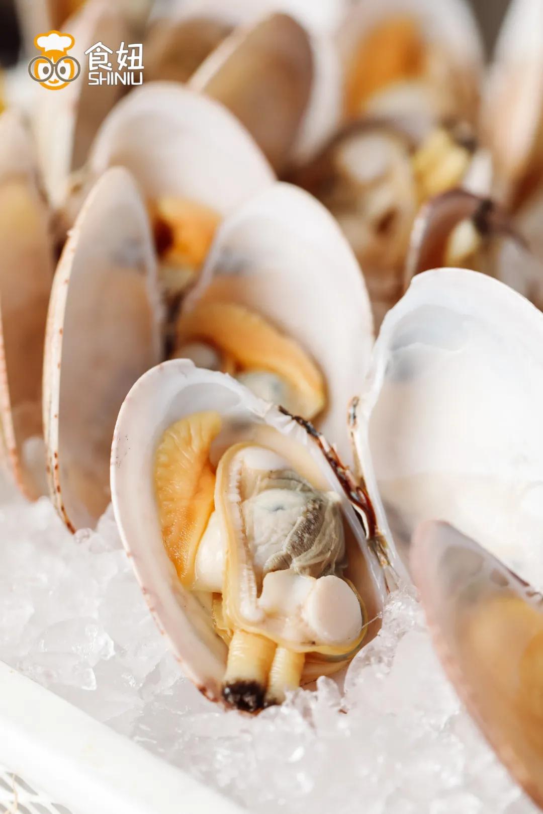 芝士波士顿龙虾不限量自助餐,可以吃波士顿龙虾的自助餐