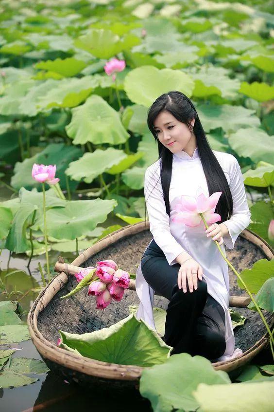 出淤泥而不染荷花之美,如果你是一朵出淤泥而不染的荷花