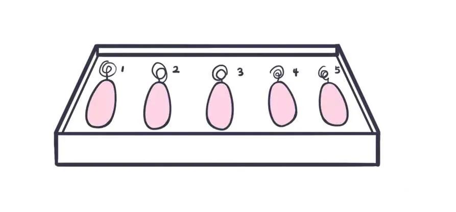 产后康复哑铃的正确锻炼方法,产后修复哑铃老是掉下来怎么办