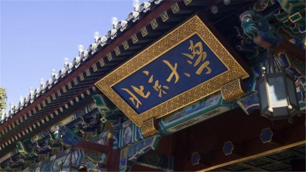 北大天才许晨阳归国,中国最出色的青年数学家许晨阳