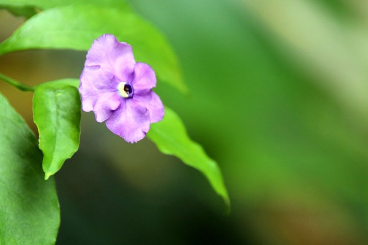 做人不要太精明有时会害了自己,做人要踏实不要玩心机耍小聪明
