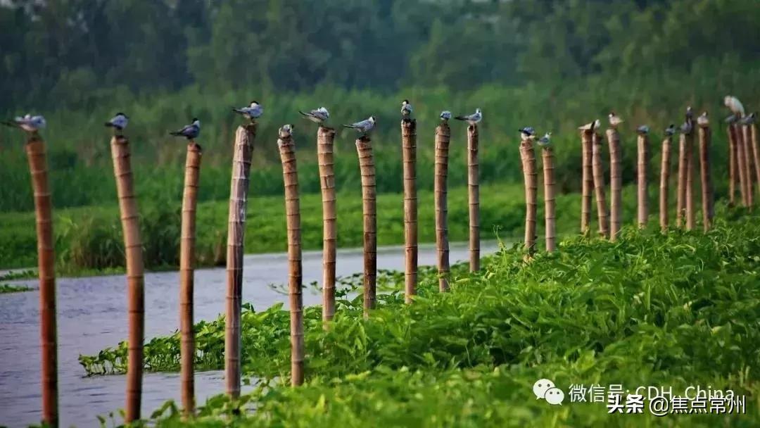 金坛适合一个人安静的地方,金坛的一个小镇