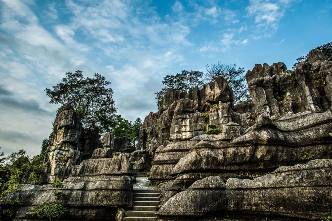 周末游玩优惠票,0元优惠票