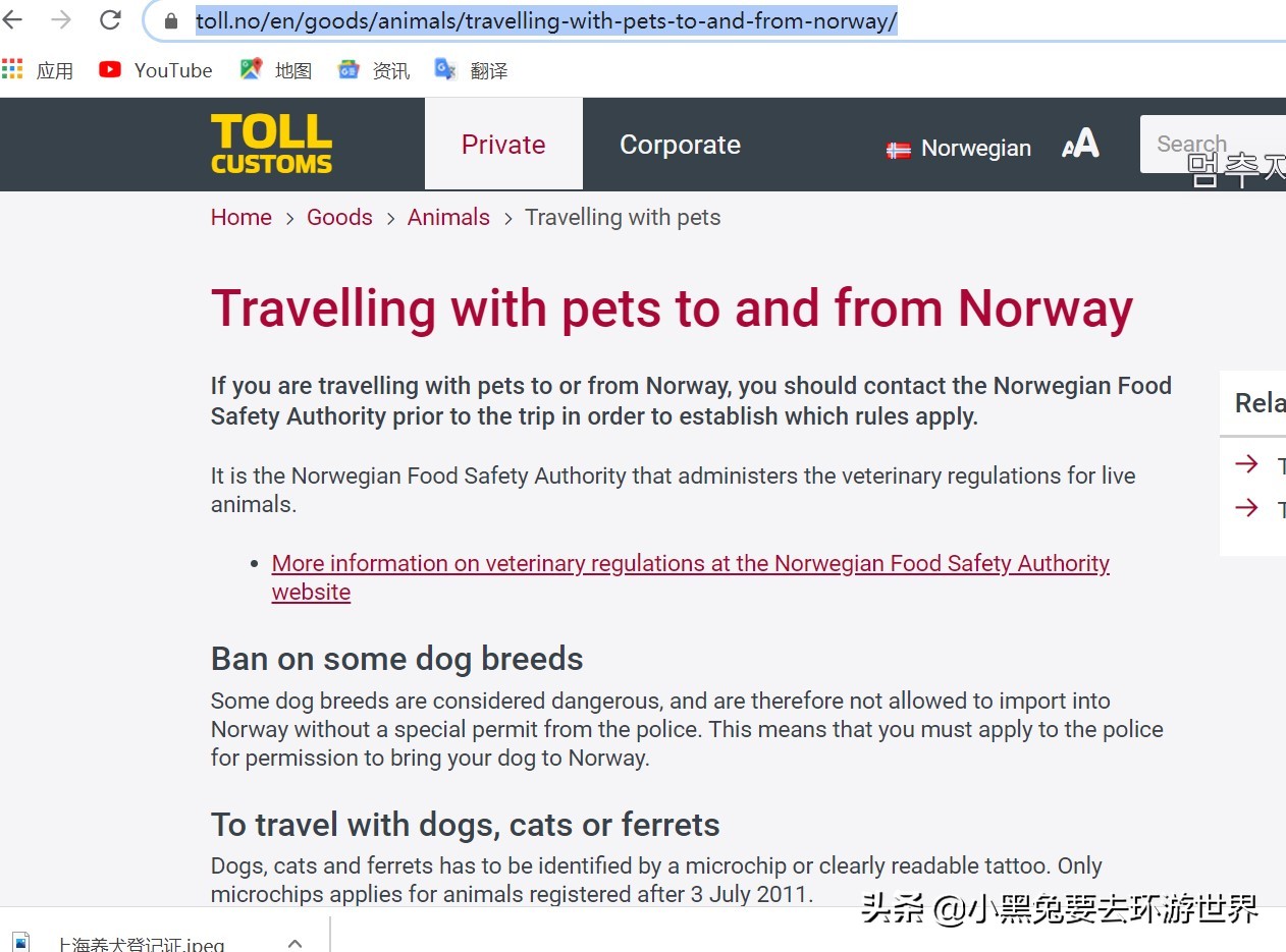 带宠物入境检疫,从境外如何带宠物入境