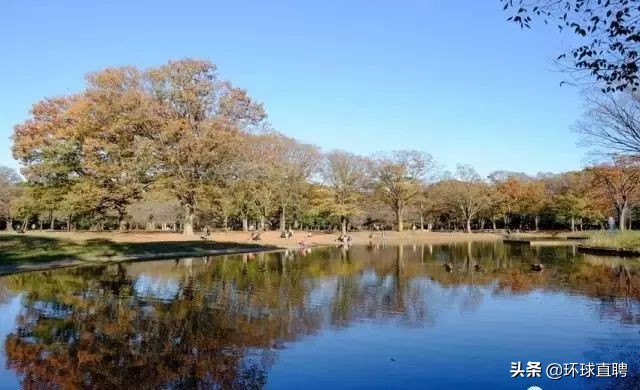 日本东京jr山手线,东京站新干线和山手线