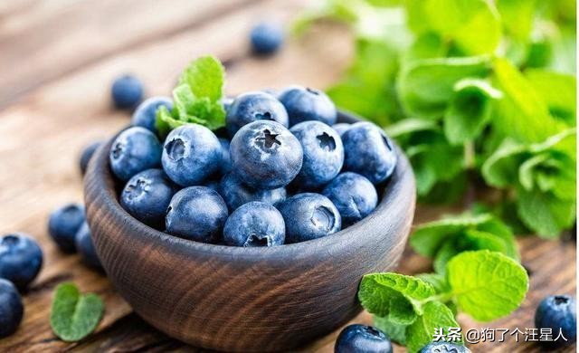 养狗小课堂:泰迪犬除了吃狗粮,这5种食物也能吃!