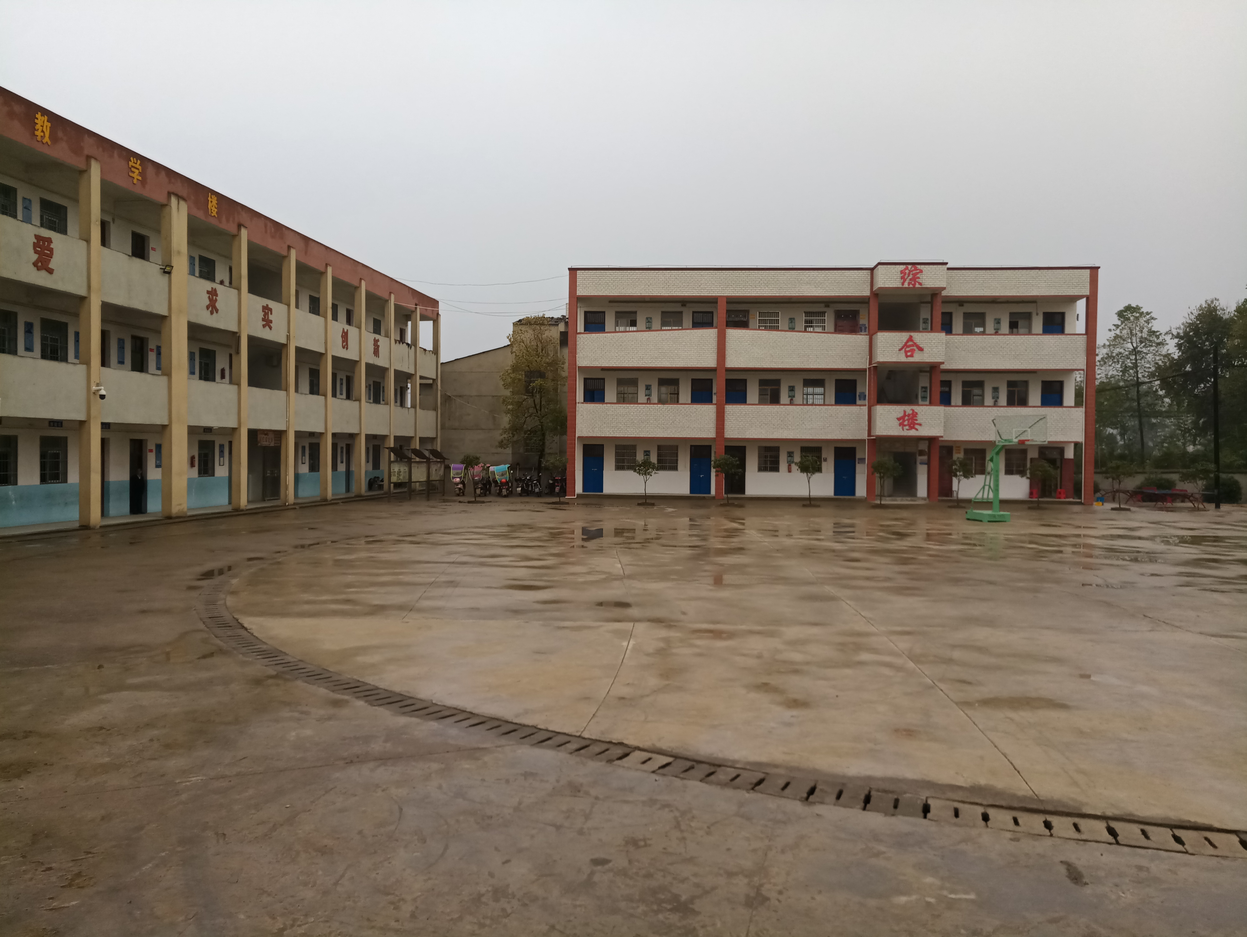 白沙中心小学八一校区:好校长一心带出好学校