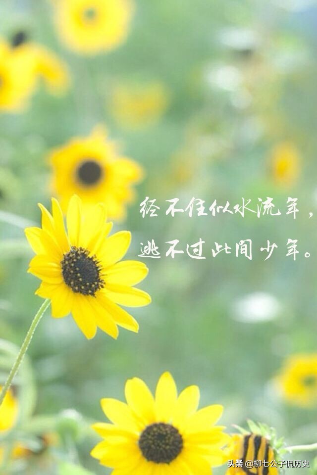 来日方长有多长dj完整版原唱,来日方长有多长粤语版