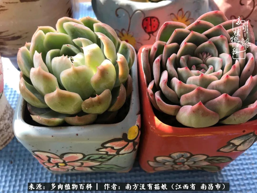 既见云胡不喜,既见君子云胡不喜毛笔楷书