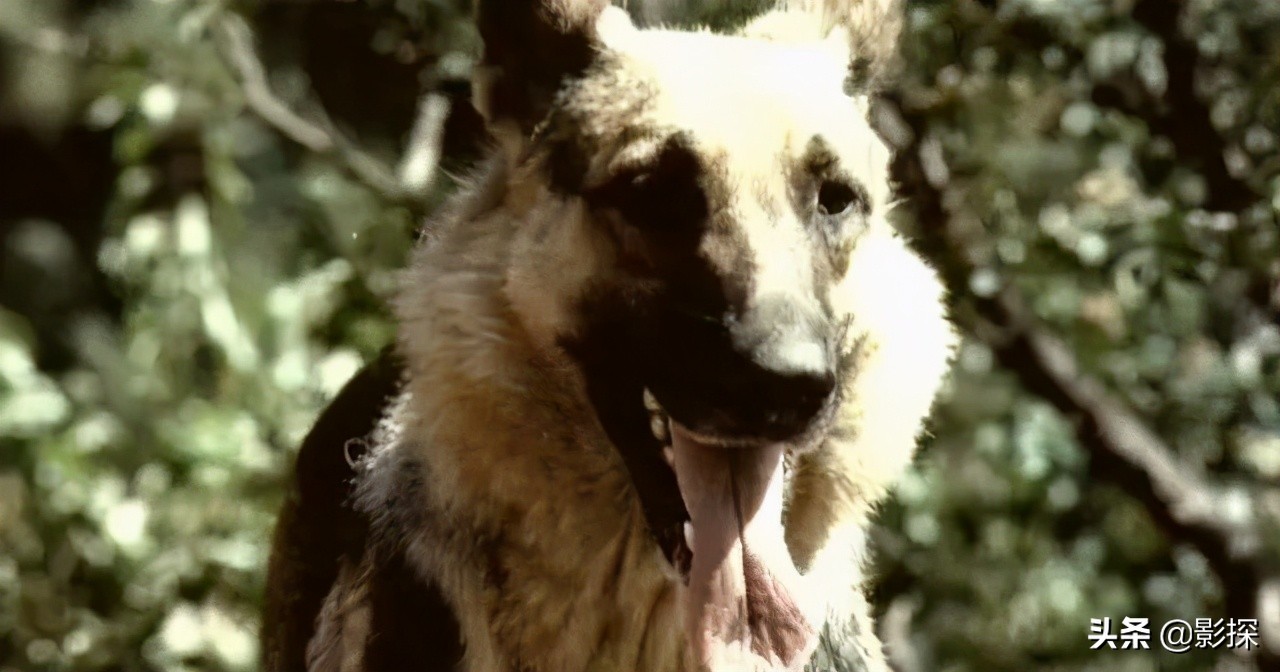 3万人打一星,骇人听闻