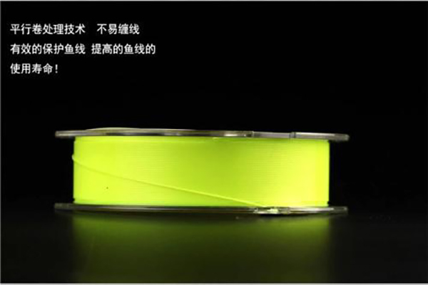 矶钓入门基本知识,矶钓海钓入门