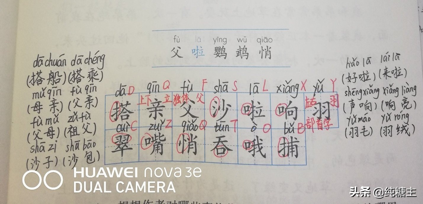 三年级语文上册搭船的鸟预习笔记,三年级搭船的鸟课文笔记