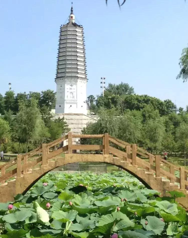 全国十大最佳赏荷好去处,沈阳赏荷花攻略