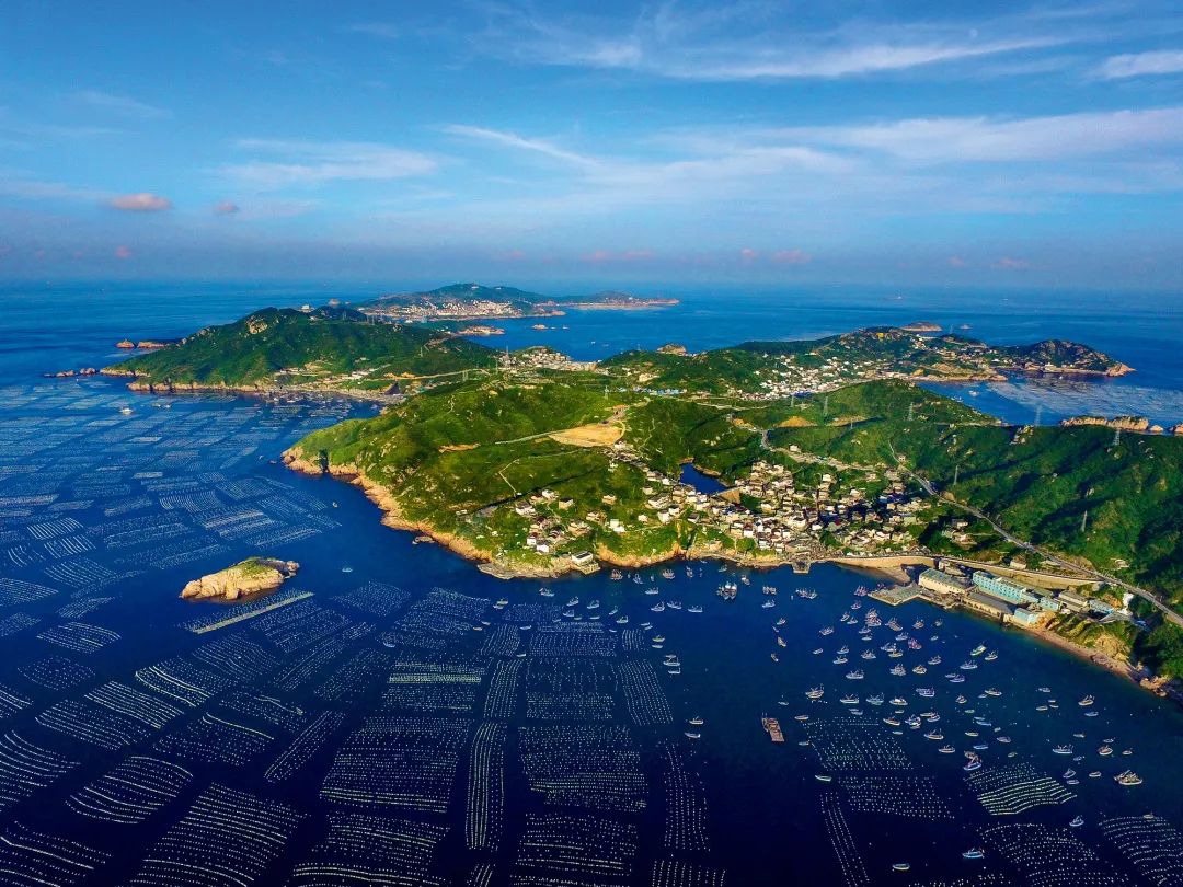 中国人过年太有意思,中国人过年有什么活动