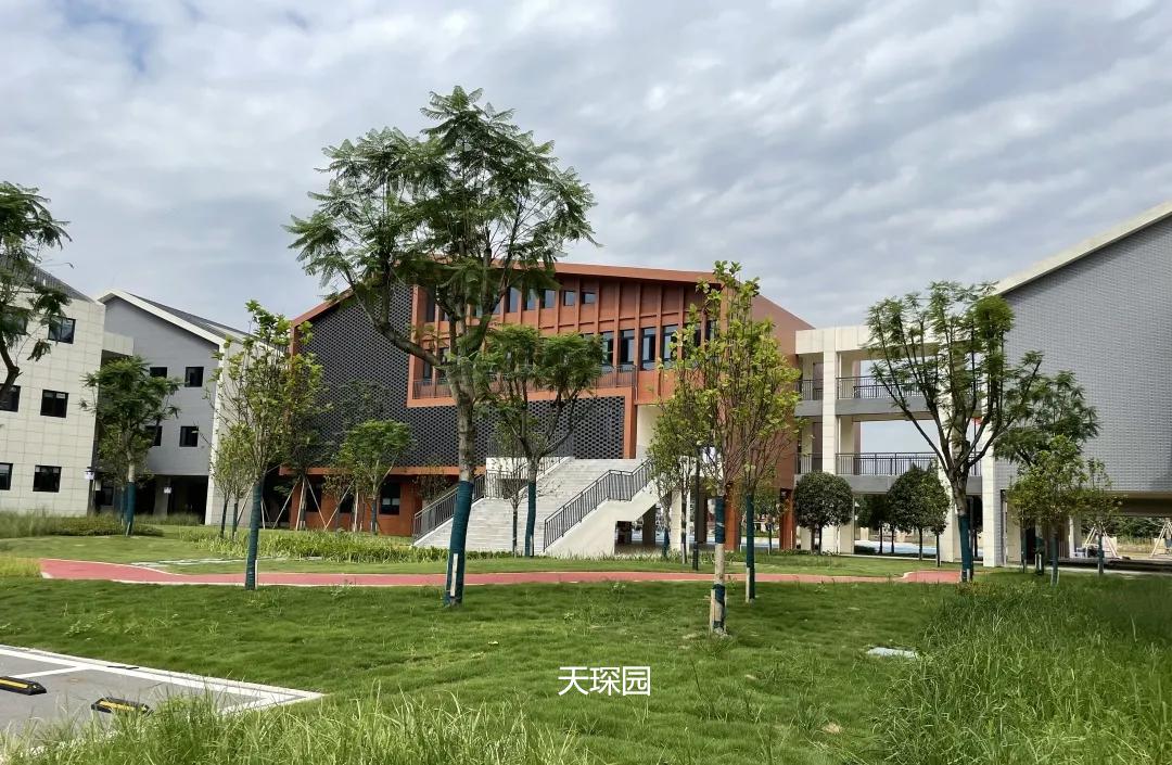 新都区新建的小学,新都中学新校区什么时候投入使用