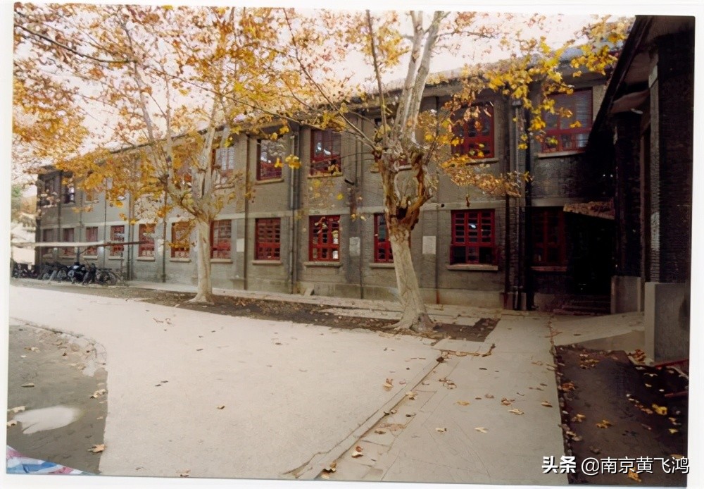 难忘的童年时光小学,我的快乐童年回忆