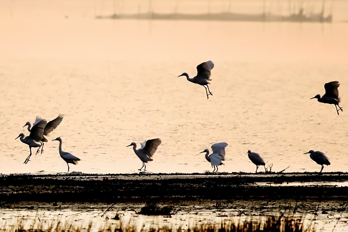 一言不合就开战的人心理,淮南人为什么喜欢打架斗殴