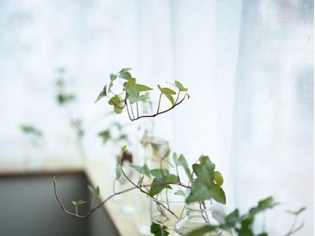 亮彩英雄榜深度解析，微信名字背后的小秘密，看看有没有你呢