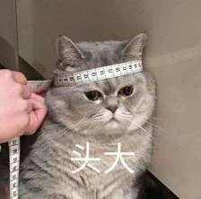 多伦多人均工资,多伦多家庭平均工资年薪多少