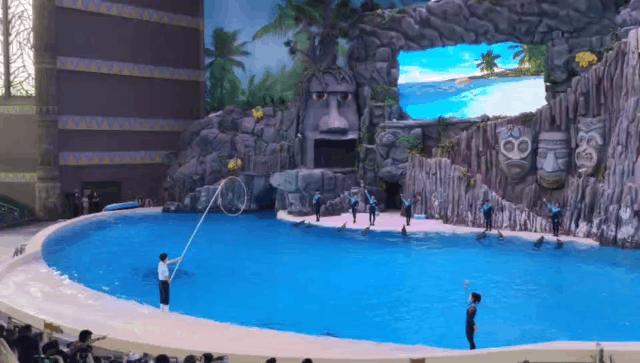 来一场说走就走的旅行珠海长隆,广东长隆及珠海长隆旅游攻略