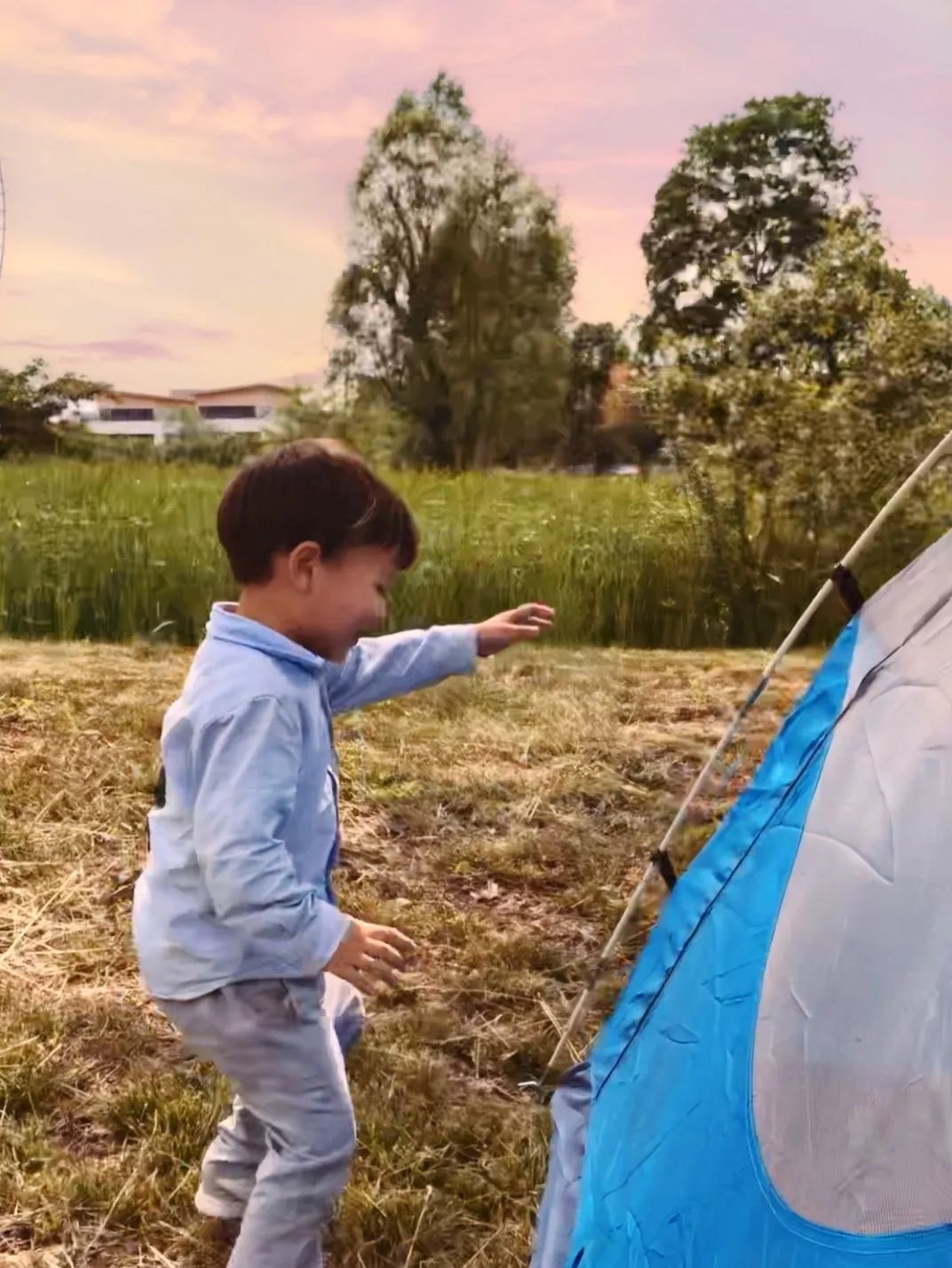 紫薇园宿州露营音乐节,中华紫薇园露营