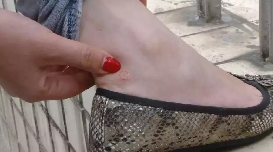 红火蚁出没村民被咬致休克,邕江边红火蚁