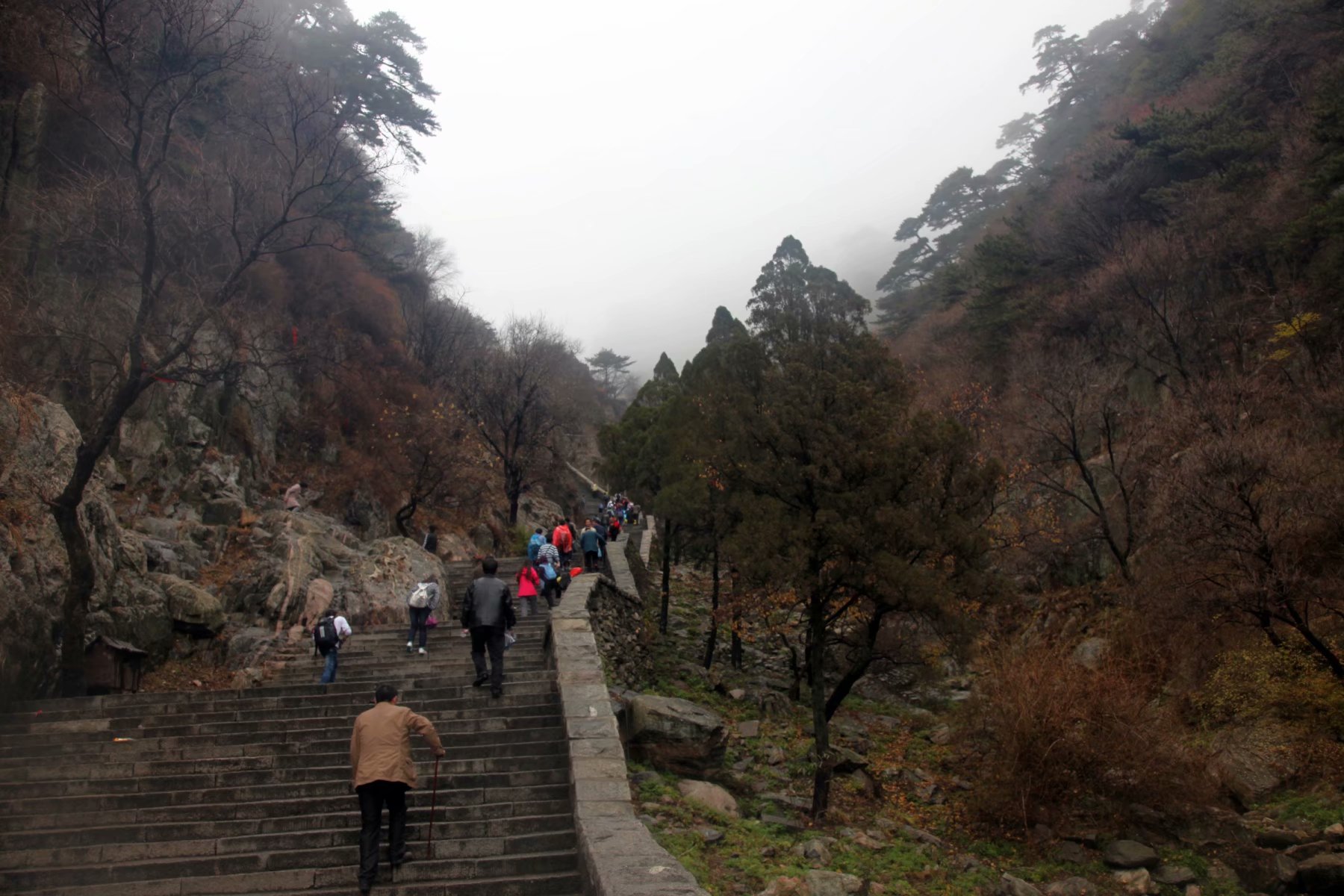泰山景区在山东哪个市,泰山孔子庙在泰山的位置
