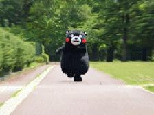 2023国考补录面试名单广西,广西国考补录面试公告