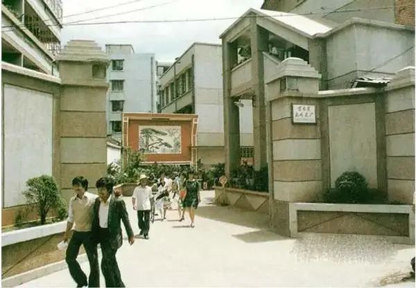 七子饼茶的历史背景,中茶牌七子茶饼铁饼